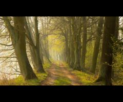Pałace i zamki Wielkopolski i Dolina Baryczy - 1/1