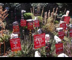 Polska złota Jesień na Beskidzie Śląskim, a przy okazji Klimczok i Trzy Kopce - 9/15