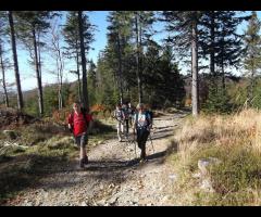 Polska złota Jesień na Beskidzie Śląskim, a przy okazji Klimczok i Trzy Kopce - 10/15