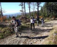Polska złota Jesień na Beskidzie Śląskim, a przy okazji Klimczok i Trzy Kopce - 11/15