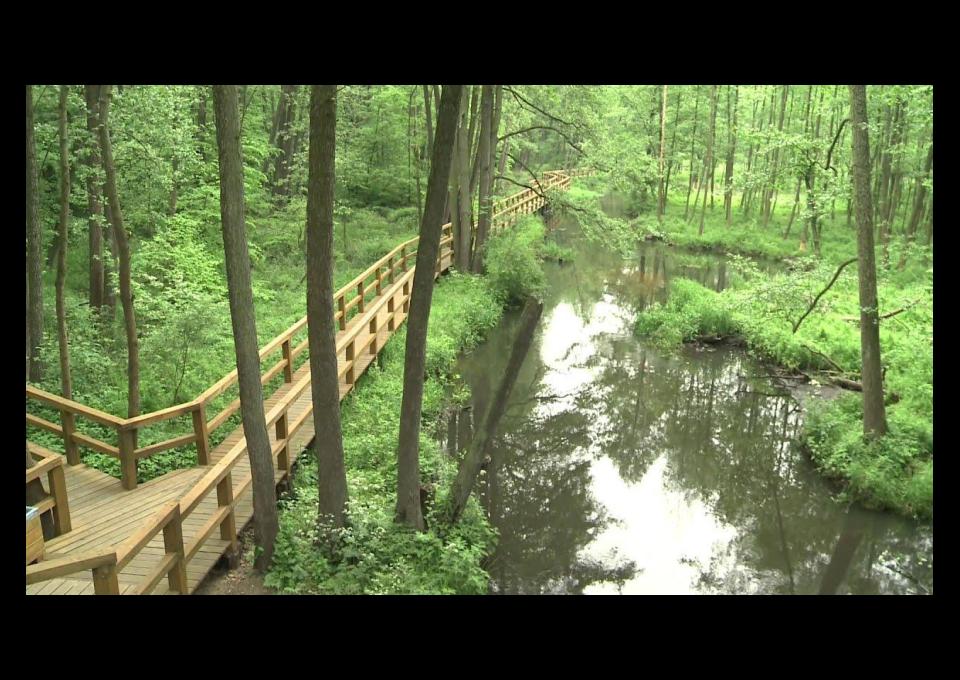 Siła i energia – Puszcza Kozienicka na rowerze