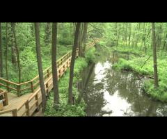 Siła i energia – Puszcza Kozienicka na rowerze - 1/1