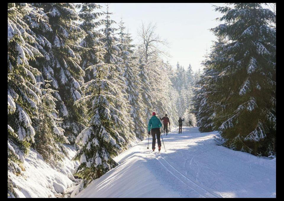 Biegówki na Mazurach