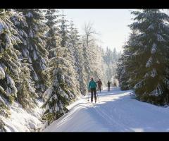 Biegówki na Mazurach