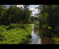 Trzech Króli w Puszczy Mariańskiej - spacer