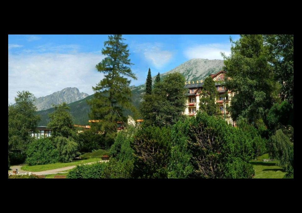 Wiosna w koronach drzew