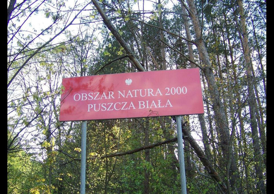 Puszcza Biała z Pułtuska