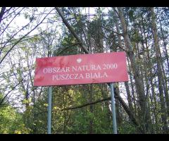 Puszcza Biała z Pułtuska - 1/1