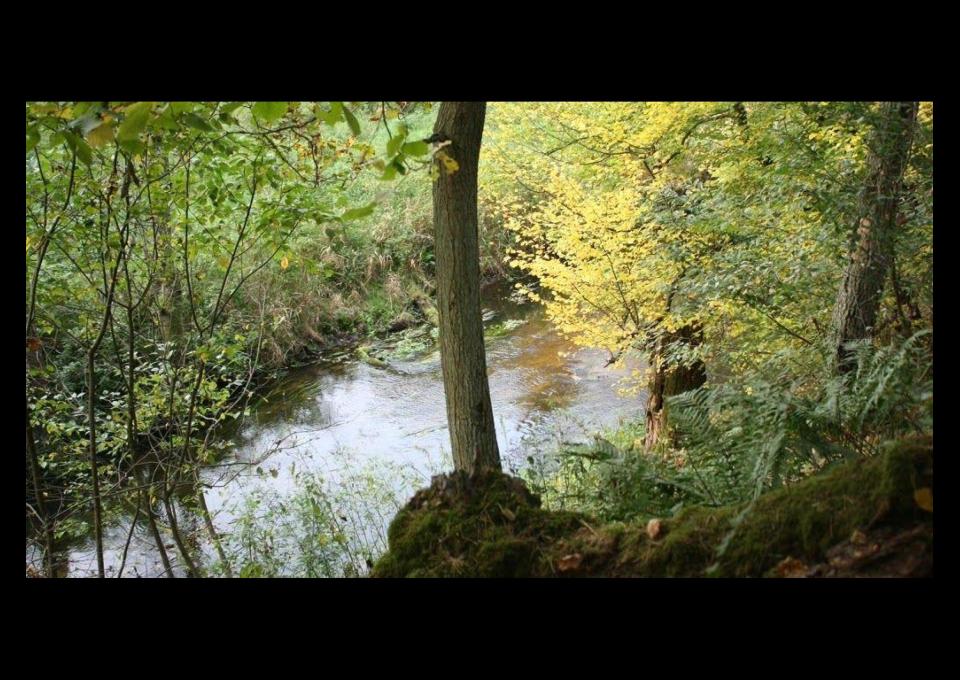 Wędrówka doliną Skrwy, zwiedzanie Płocka i stadniny ogierów