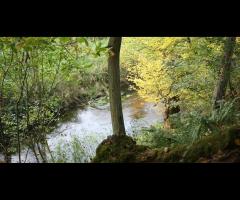 Wędrówka doliną Skrwy, zwiedzanie Płocka i stadniny ogierów