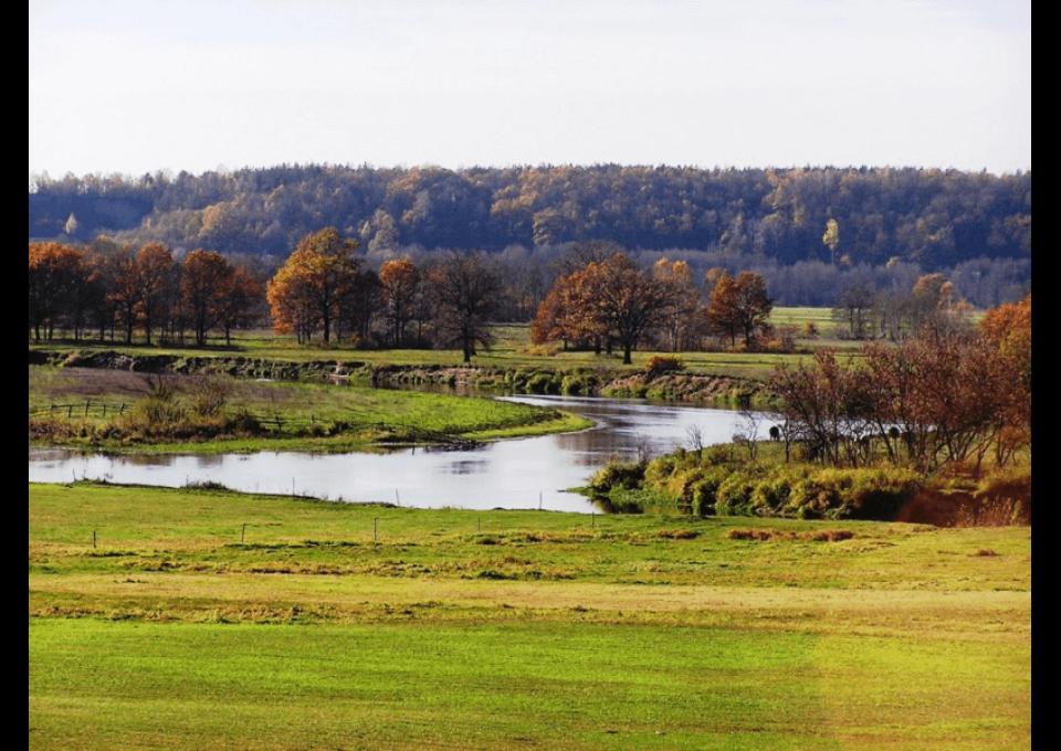 Narew kajakiem - smakowanie polskiej przyrody