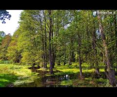 Via Verde: Mazury Garbate