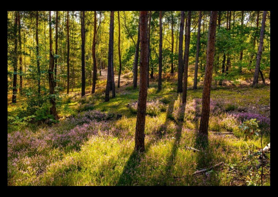 Spacer Dla Wytrwałych, około 50 km ;)
