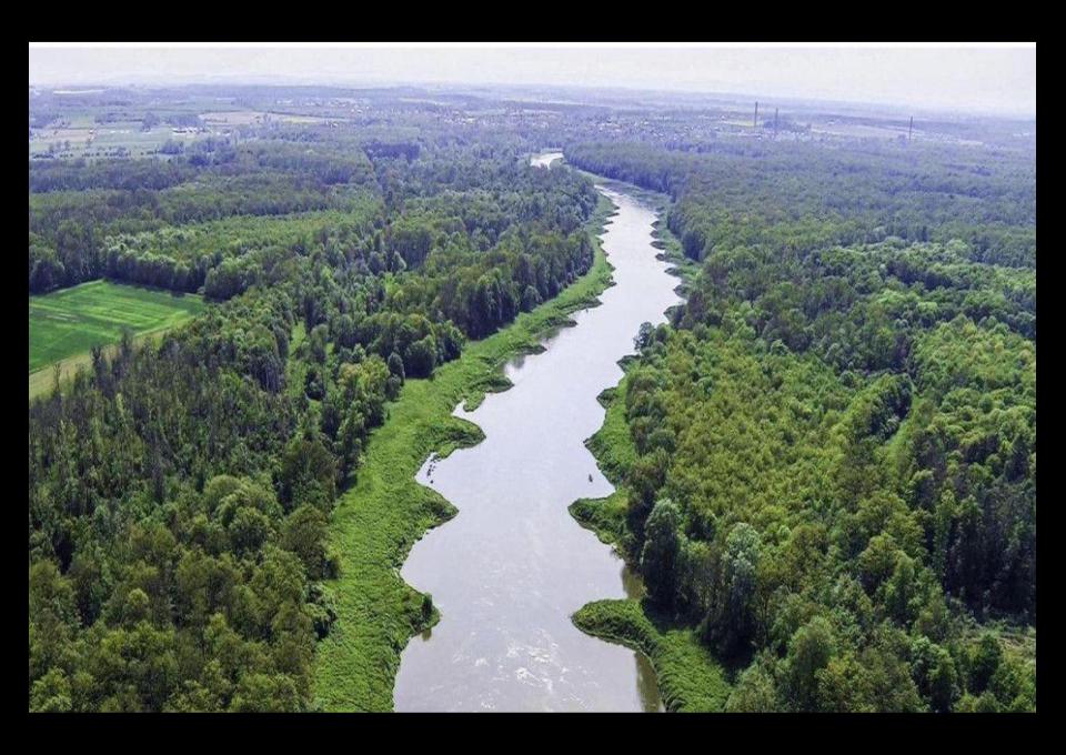 ROWEREM BRZEGIEM ODRY