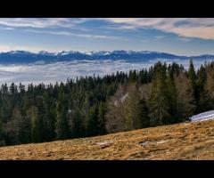 Letni weekendowy wypad w Gorce! - 1/1