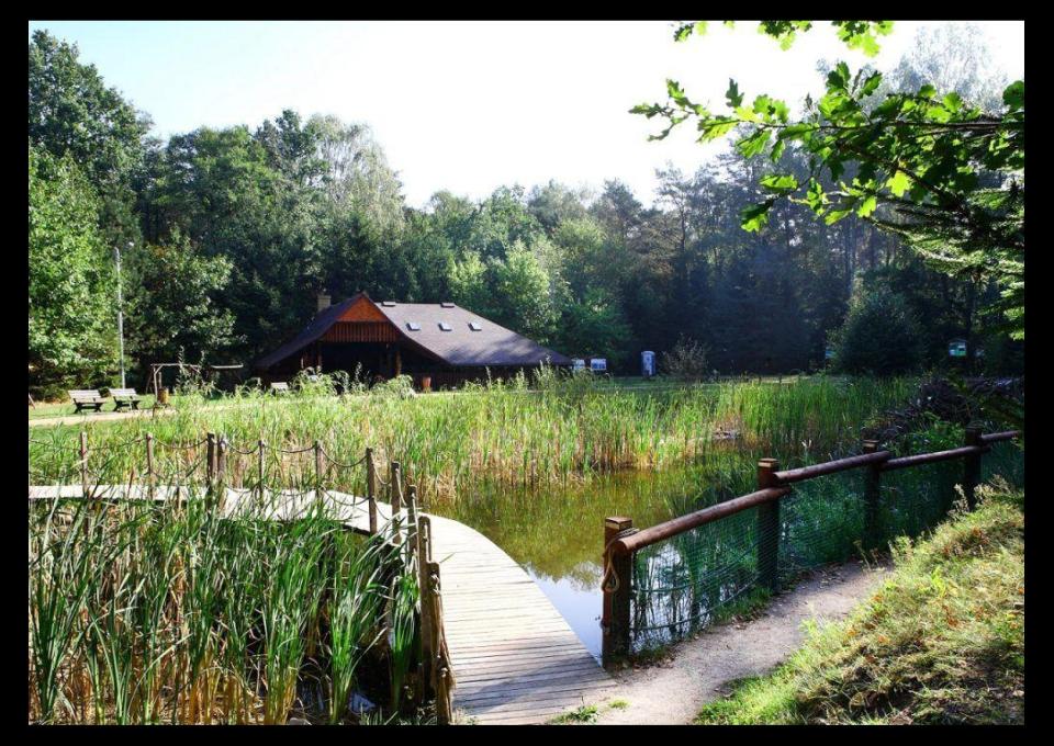 Celestynowskie bagna rowerem