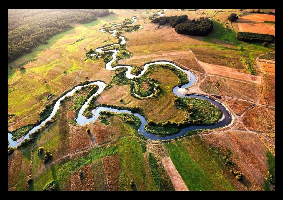 Wśród mazowieckich łąk - KOSZEWNICA koło Siedlec - Małkinia