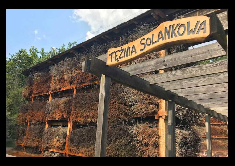 Konstancin i Zalesie rowerem