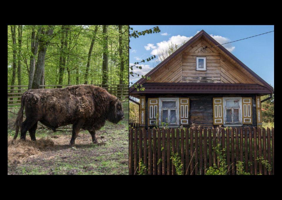 Rowerem przez Podlasie