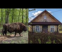 Rowerem przez Podlasie - 1/1