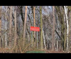 Horowe Bagno Puszcza Słupecka