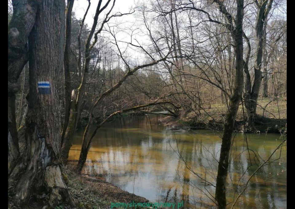Wycieczka rowerowa wzdłuż Świdra