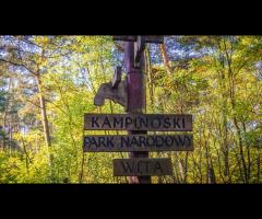 Z Piasecznicy przez Puszczę Kampinoską - 1/1