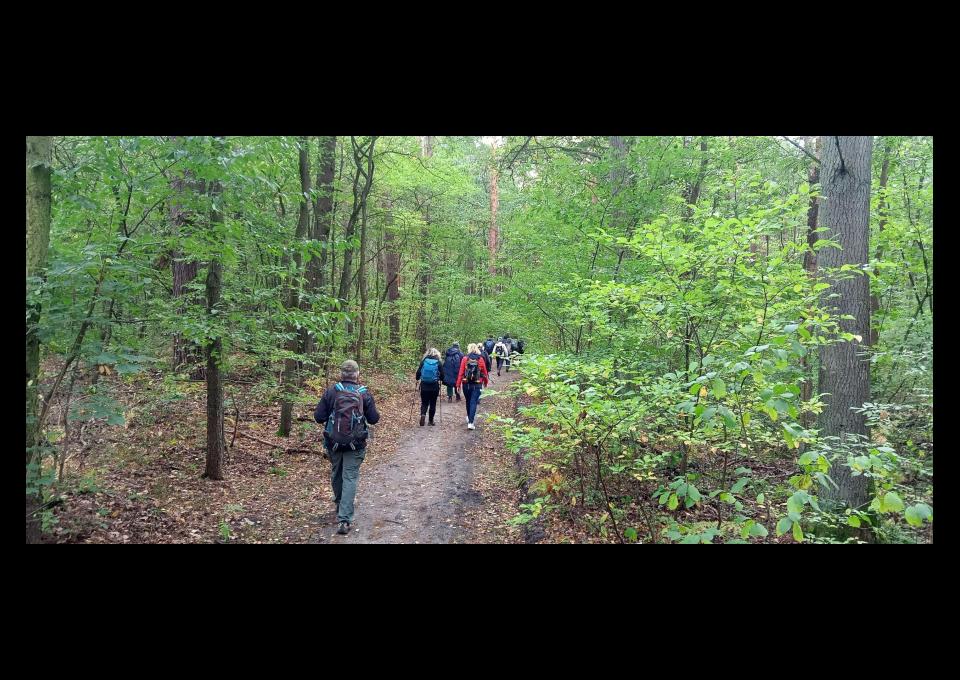 09.11 - Odkrywamy Mazowsze: Lasy Legionowskie, spacer 15 km