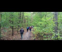 09.11 - Odkrywamy Mazowsze: Lasy Legionowskie, spacer 15 km