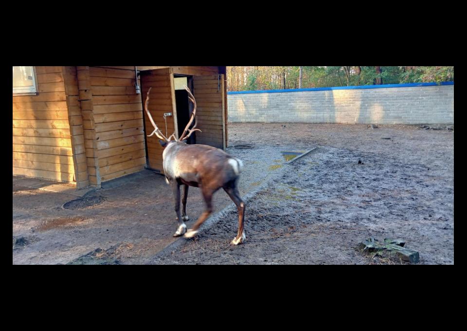 Rower w sobotę? Szukam towarzyszy do wspólnej jazdy