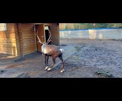 Rower w sobotę? Szukam towarzyszy do wspólnej jazdy - 1/7