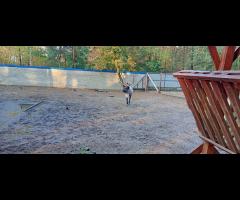 Rower w sobotę? Szukam towarzyszy do wspólnej jazdy - 2/7