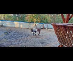 Rower w sobotę? Szukam towarzyszy do wspólnej jazdy - 3/7