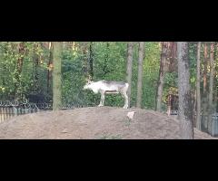 Rower w sobotę? Szukam towarzyszy do wspólnej jazdy - 6/7