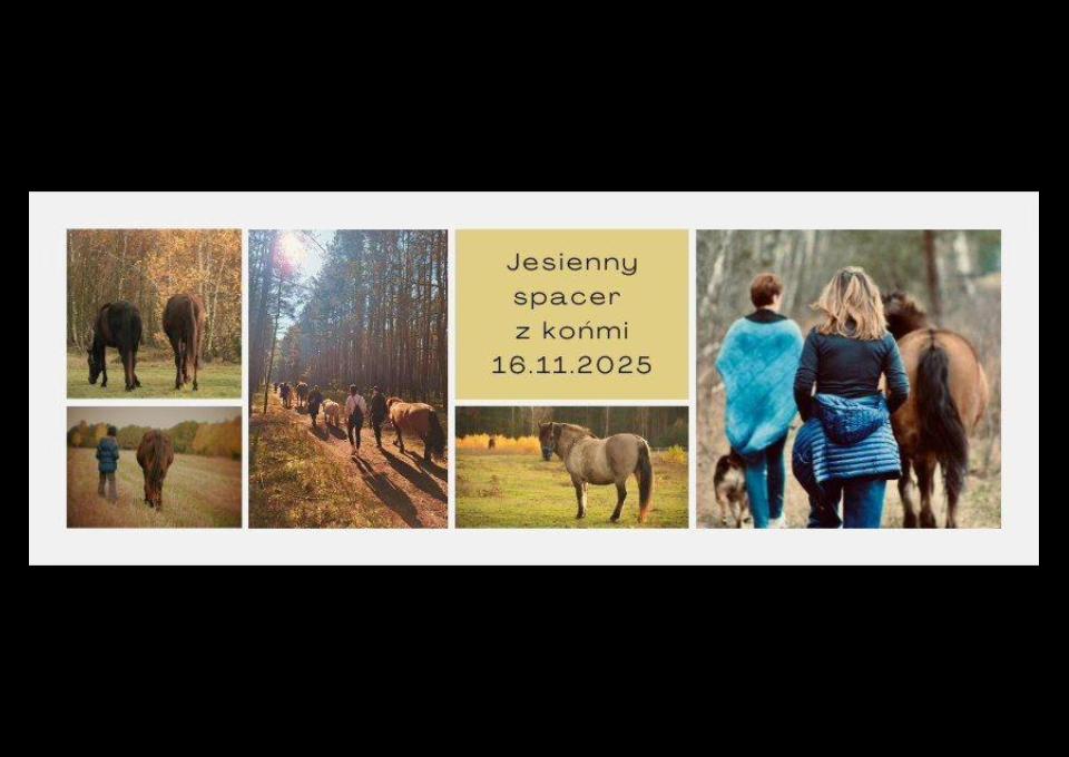 16.11 - Jesienny spacer z końmi