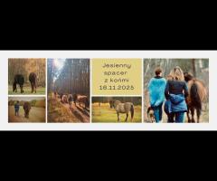 16.11 - Jesienny spacer z końmi