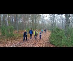 09.11 - Odkrywamy Mazowsze: Lasy Legionowskie, spacer 15 km - 5/10