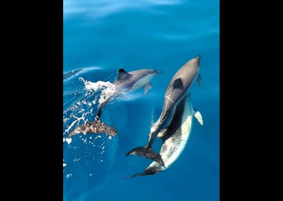 Kto ma ochotę uciec od polskiej zimy? ☀️