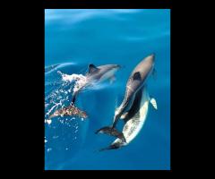 Kto ma ochotę uciec od polskiej zimy? ☀️