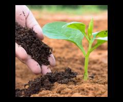 Rolniku, nie odkładaj marzeń o rozwoju na przyszły rok!