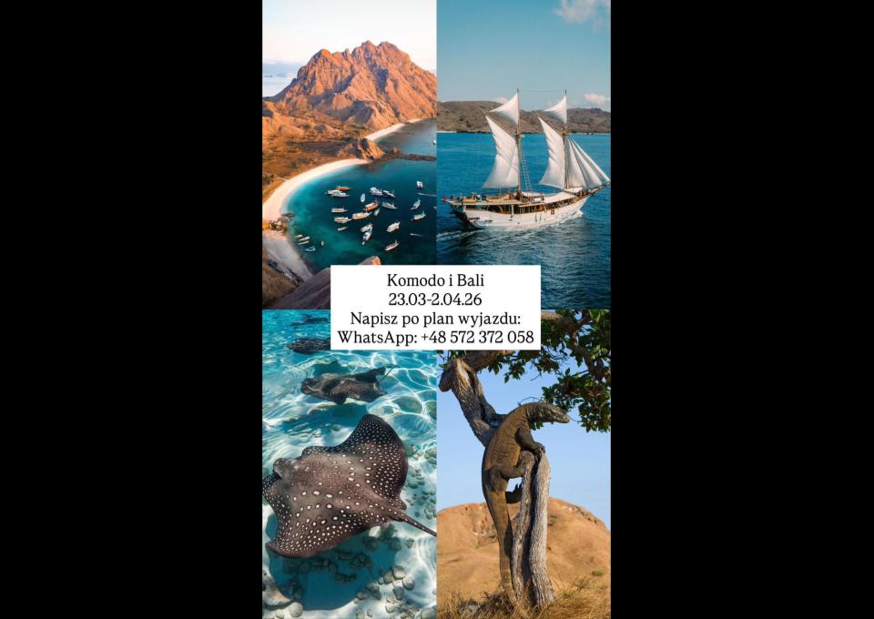 🇮🇩🌴 KOMODO I BALI 2026 🌴✈️