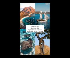 🇮🇩🌴 KOMODO I BALI 2026 🌴✈️