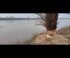 Nadwiślańskie Klimaty: Spacer nad Wisłą i Świdrem