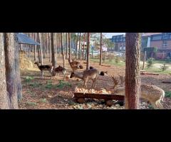 Czas na rower: przejażdżka z Kabat do Pruszkowa - 2/10