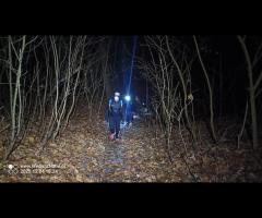 Wyprawa z Wikingiem, w poszukiwaniu Ducha Puszczy, szlakami Parku Leśnego Zdroje - 1/8