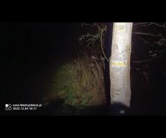 Wyprawa z Wikingiem, w poszukiwaniu Ducha Puszczy, szlakami Parku Leśnego Zdroje - 4/8