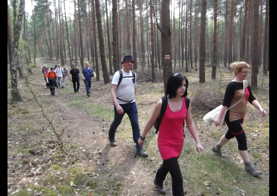 14.12 - Podkowa Leśna - Komorów, spacer 15 km