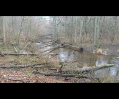 120 WYPRAWA Z WIKINGIEM - doliną Krąpieli szlakiem Czarnieckiego - 10/14