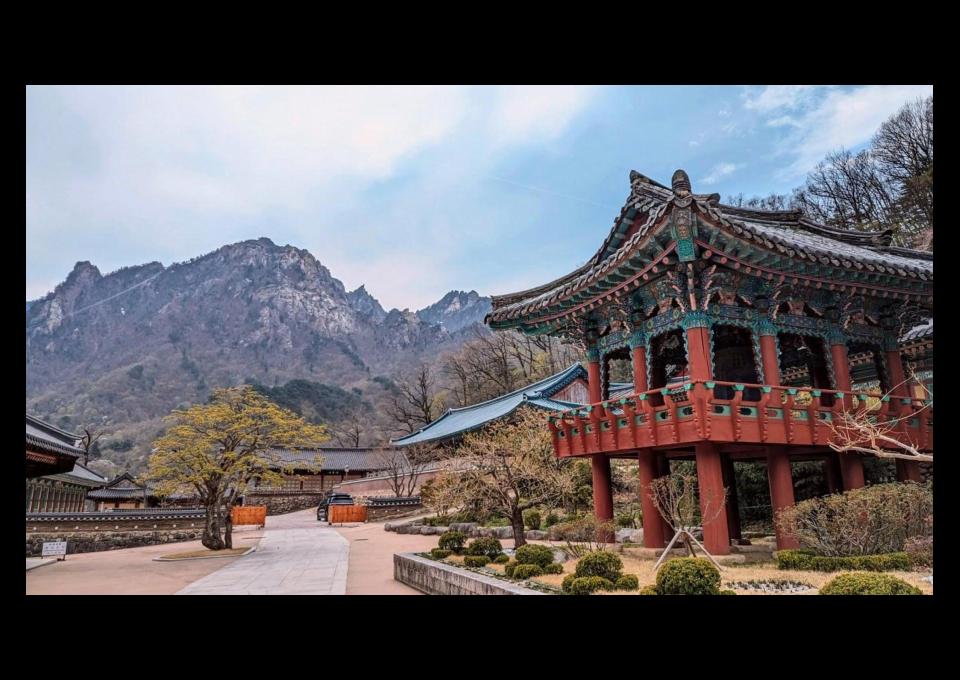 Korea i Japonia: poszukiwany towarzysz podróży