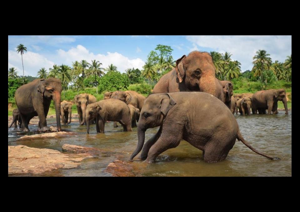 Azja na miesiąc - towarzysz podróży